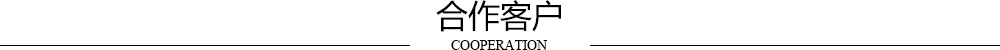 合作伙伴2